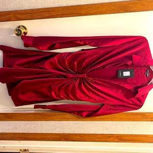 Scandalous Babe Mini Dress